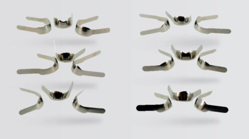 Dentatus bands